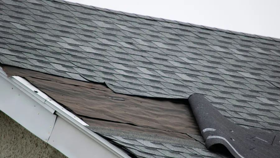 Roof Repair